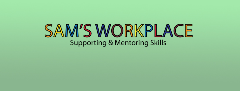 Sam's work place - Supporting and mentoring Skills