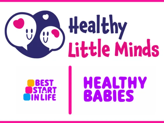 Healthy Little Minds and Healthy Babies logos with the phrase Best Start in Life in colorful blocks.
