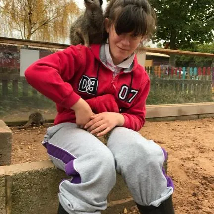 Service users interacting with our resident meerkats