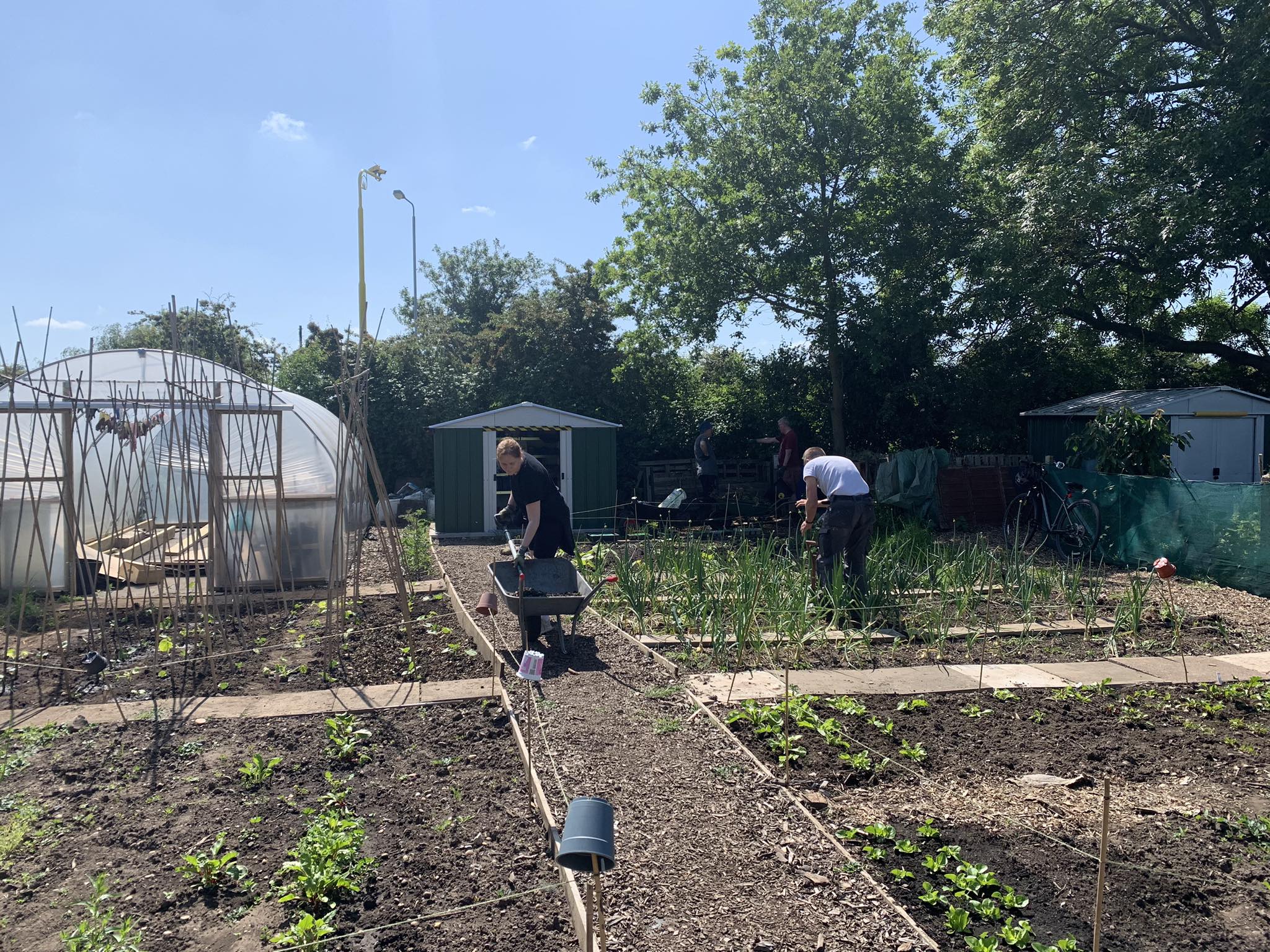 Radcliffe Community Gardens