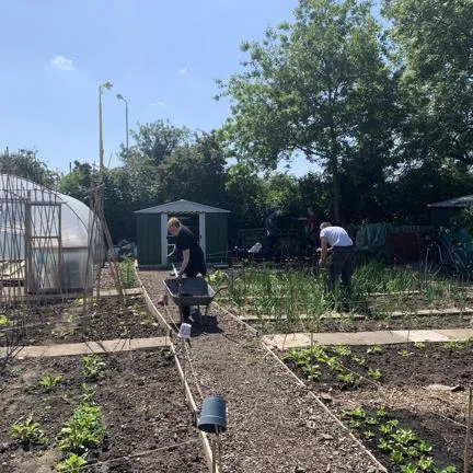 Radcliffe Community Gardens