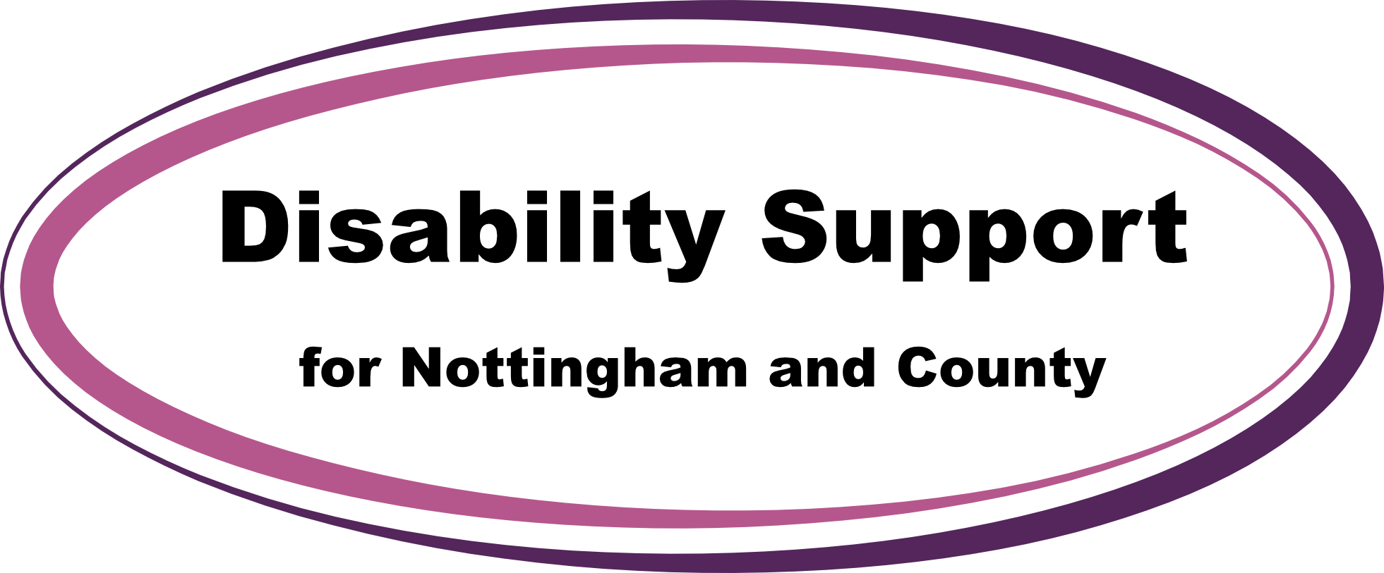 DS logo