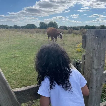 Visiting the cows on Cogley Lane photo 1