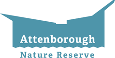 Attenborough Nature Centre and Reserve