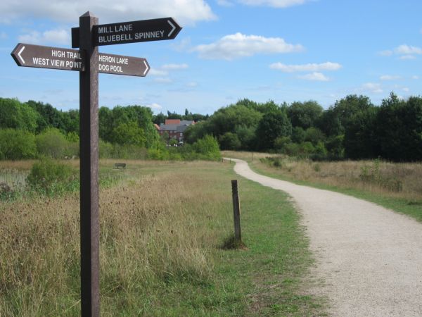 View of path in Cotgrave Country Park