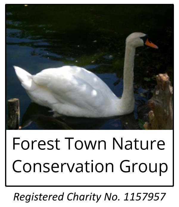 FTNCG logo