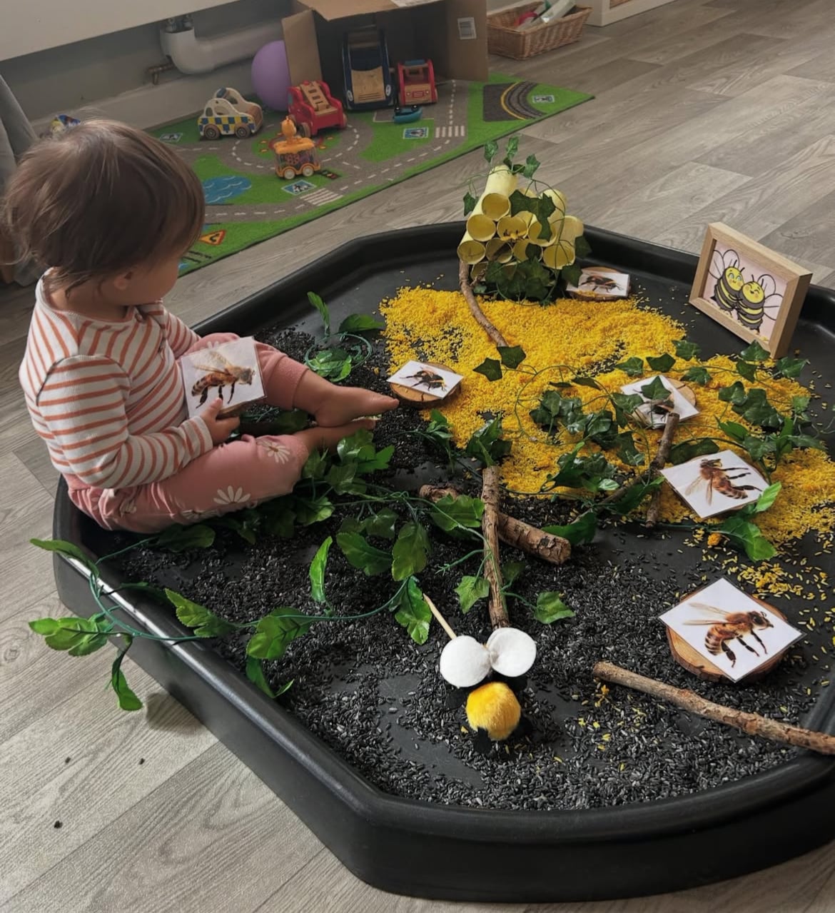 Tuff tray activities