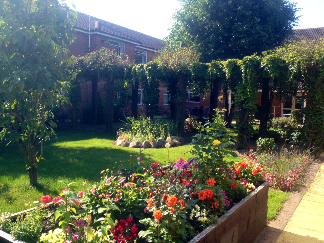 Courtyard Garden