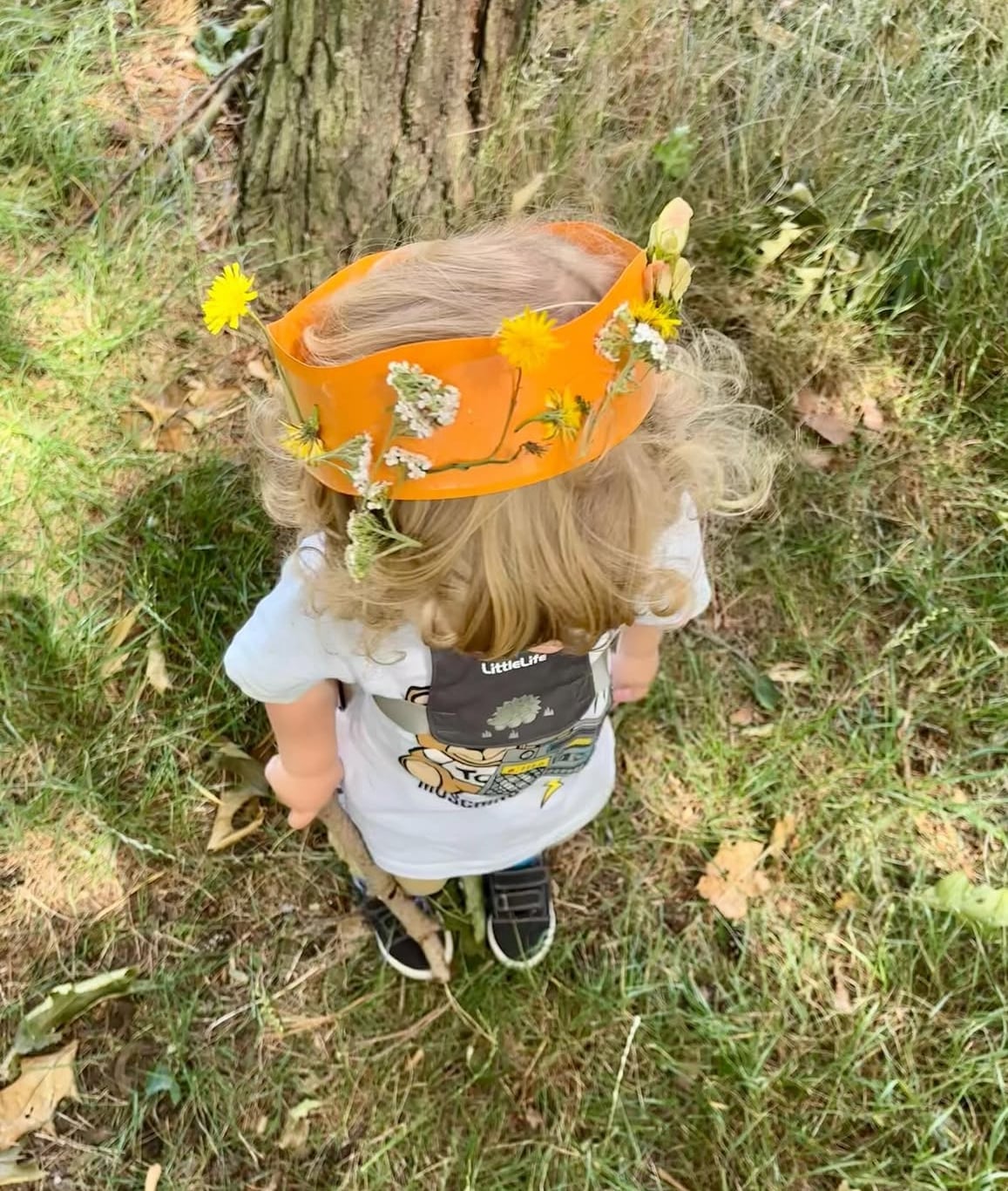 Nature crown
