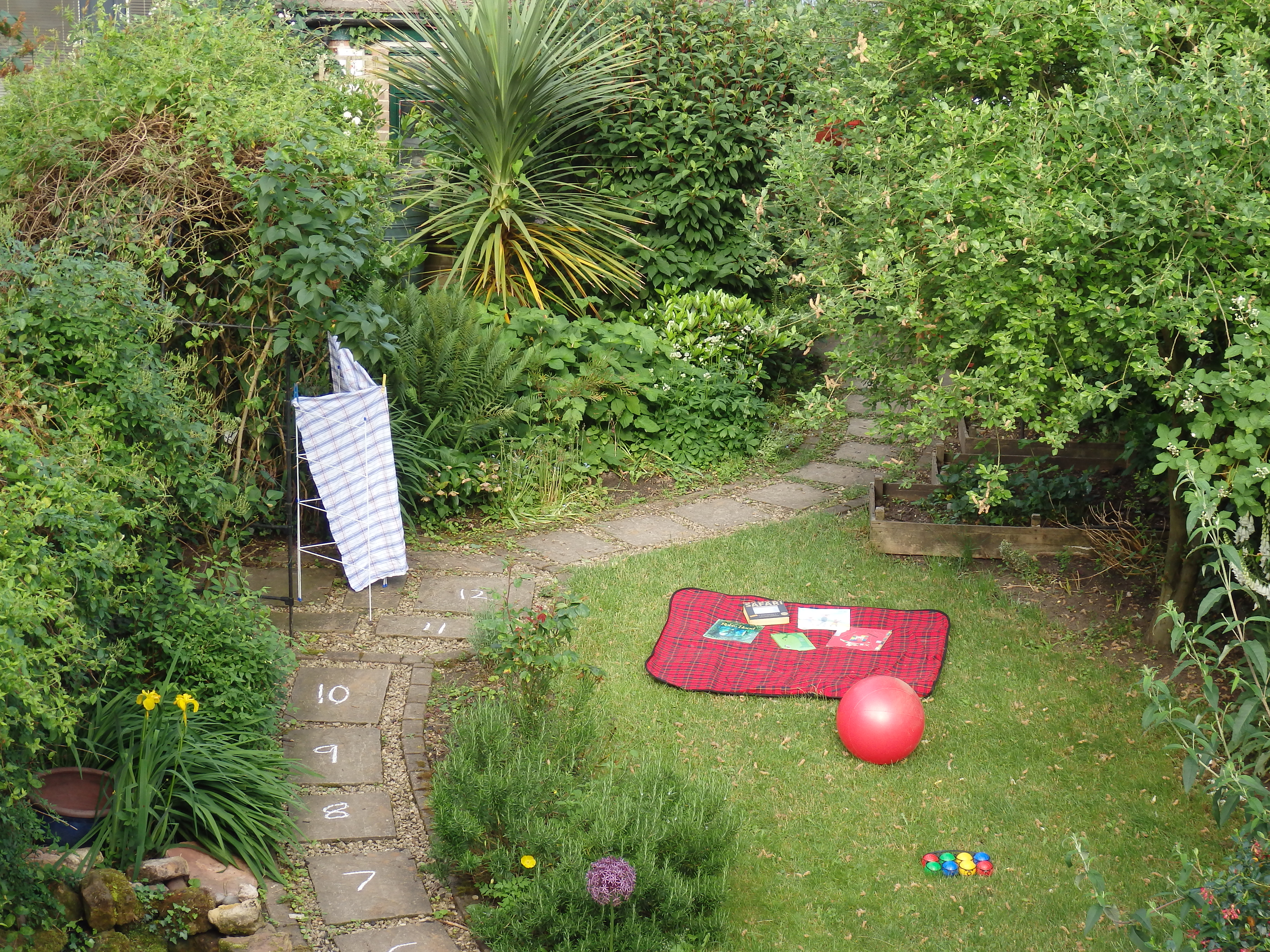 p6070355_3.jpg