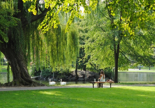 Photo of a park