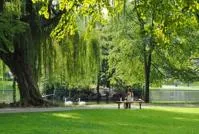 Park with trees