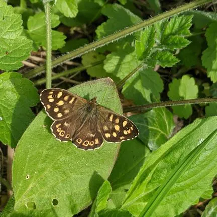 https://search3.openobjects.com/mediamanager/nottingham/fsd/images/pxl_20210424_114949840.jpg