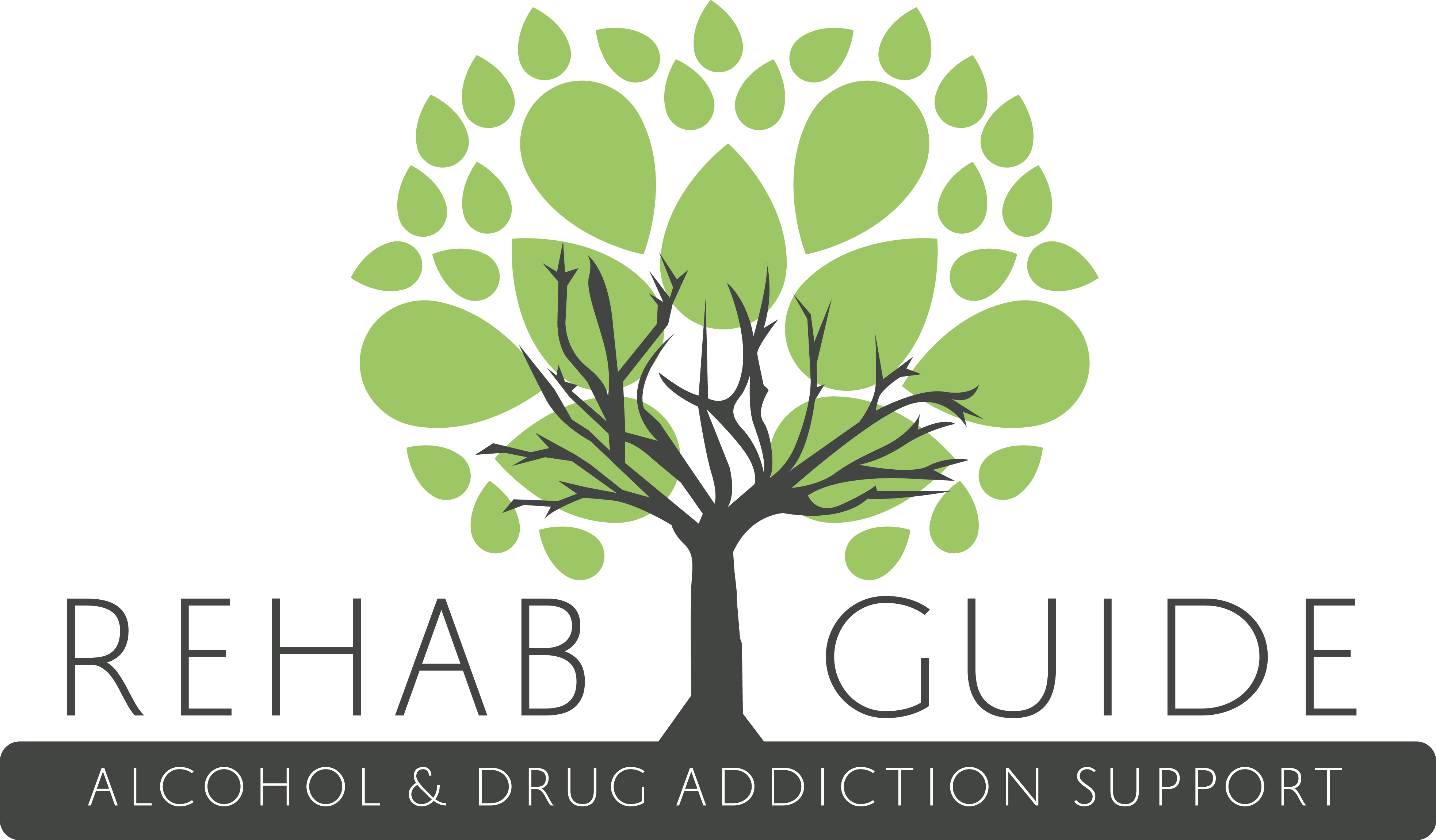 Rehab Guide Logo