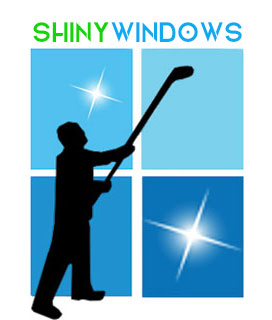 Shiny Windows