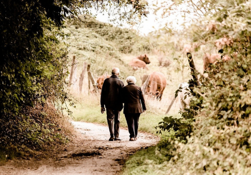 Two people walking down a country path surrounded by trees and bushes