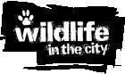Wildlife in the city logo