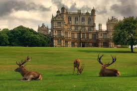 Wollaton Hall building with grounds and deer