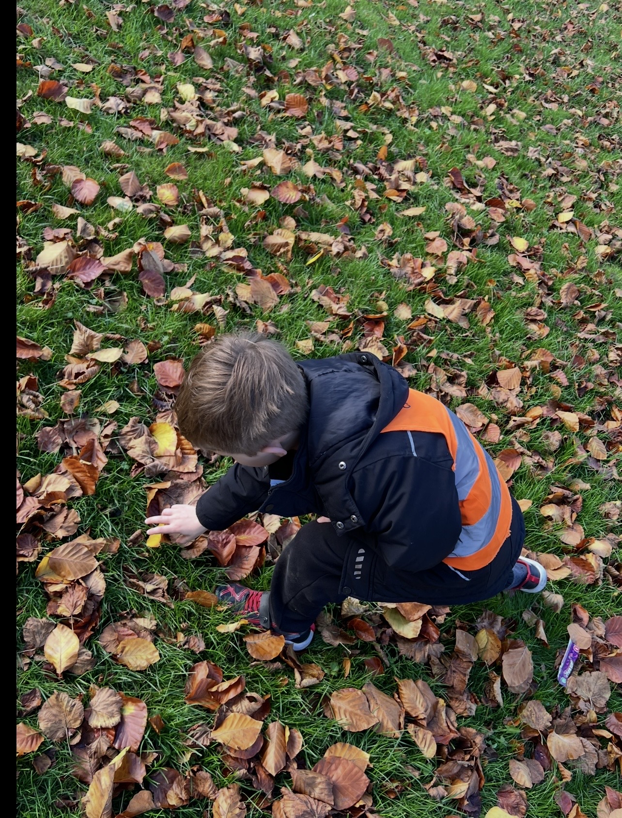 In the community - Nature Walks 